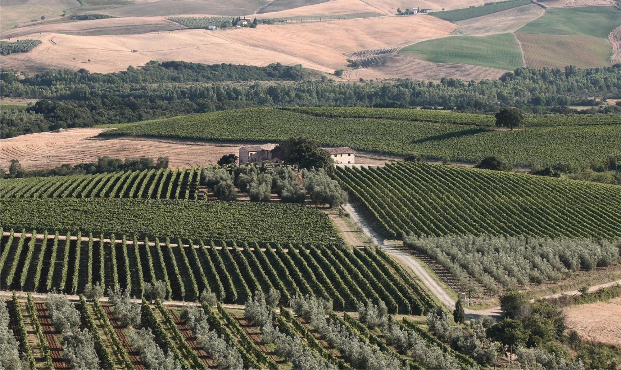 Agriturismo Il Poggione Монталчино Екстериор снимка