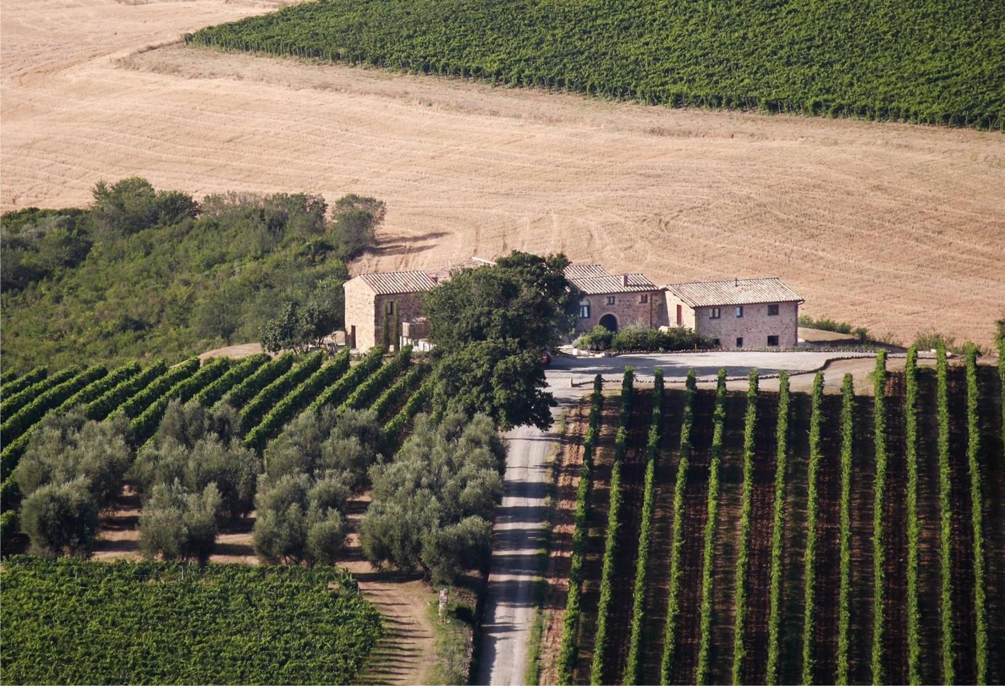 Agriturismo Il Poggione Монталчино Екстериор снимка